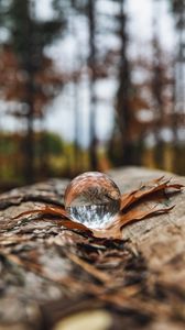 Preview wallpaper crystal ball, ball, leaf, reflection, autumn