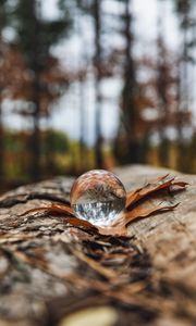 Preview wallpaper crystal ball, ball, leaf, reflection, autumn