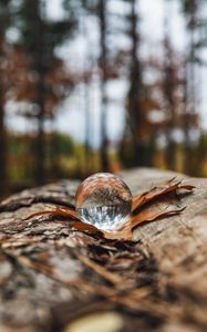 Preview wallpaper crystal ball, ball, leaf, reflection, autumn