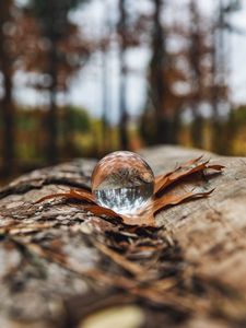 Preview wallpaper crystal ball, ball, leaf, reflection, autumn