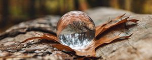 Preview wallpaper crystal ball, ball, leaf, reflection, autumn