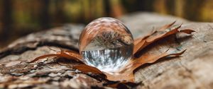 Preview wallpaper crystal ball, ball, leaf, reflection, autumn