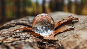 Preview wallpaper crystal ball, ball, leaf, reflection, autumn