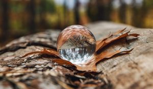 Preview wallpaper crystal ball, ball, leaf, reflection, autumn