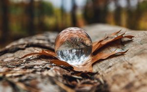 Preview wallpaper crystal ball, ball, leaf, reflection, autumn