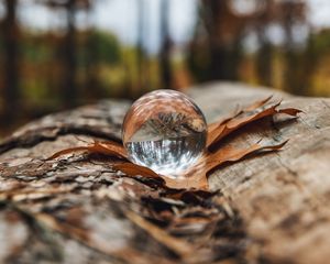 Preview wallpaper crystal ball, ball, leaf, reflection, autumn