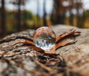 Preview wallpaper crystal ball, ball, leaf, reflection, autumn