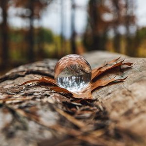 Preview wallpaper crystal ball, ball, leaf, reflection, autumn