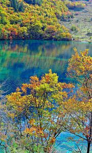 Preview wallpaper crystalline turquoise lake, jiuzhaigou national park, china