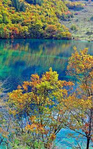 Preview wallpaper crystalline turquoise lake, jiuzhaigou national park, china