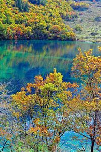 Preview wallpaper crystalline turquoise lake, jiuzhaigou national park, china