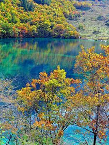 Preview wallpaper crystalline turquoise lake, jiuzhaigou national park, china