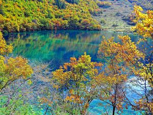 Preview wallpaper crystalline turquoise lake, jiuzhaigou national park, china