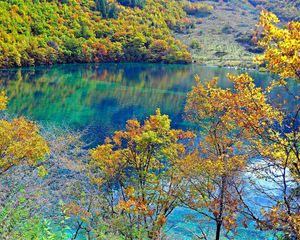 Preview wallpaper crystalline turquoise lake, jiuzhaigou national park, china