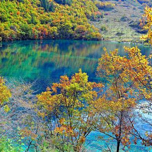 Preview wallpaper crystalline turquoise lake, jiuzhaigou national park, china