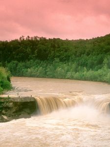 Preview wallpaper cumberland falls, kentucky, water, wood, trees