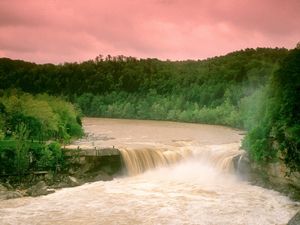 Preview wallpaper cumberland falls, kentucky, water, wood, trees