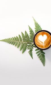 Preview wallpaper cup, cappuccino, drink, pattern, fern