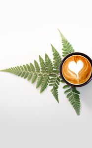 Preview wallpaper cup, cappuccino, drink, pattern, fern