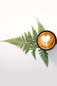 Preview wallpaper cup, cappuccino, drink, pattern, fern