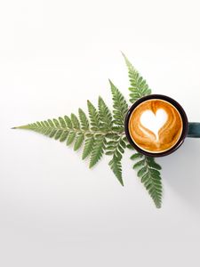 Preview wallpaper cup, cappuccino, drink, pattern, fern