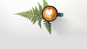 Preview wallpaper cup, cappuccino, drink, pattern, fern