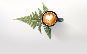 Preview wallpaper cup, cappuccino, drink, pattern, fern