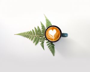 Preview wallpaper cup, cappuccino, drink, pattern, fern