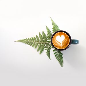 Preview wallpaper cup, cappuccino, drink, pattern, fern