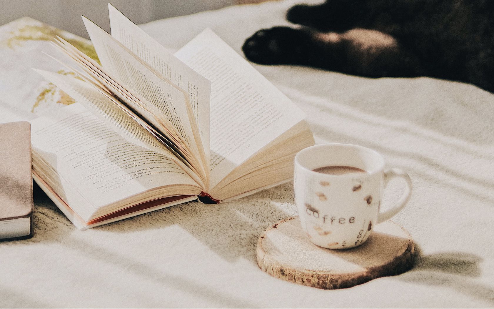 Download wallpaper 1680x1050 cup, coffee, book, pages, cat widescreen 16:10  hd background