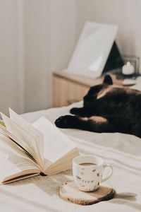 Preview wallpaper cup, coffee, book, pages, cat