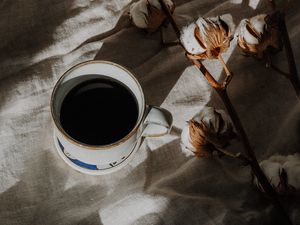 Preview wallpaper cup, coffee, branch, cotton