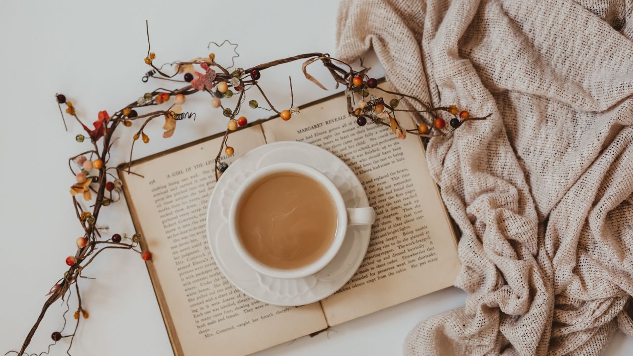 Wallpaper cup, coffee, drink, book, branch