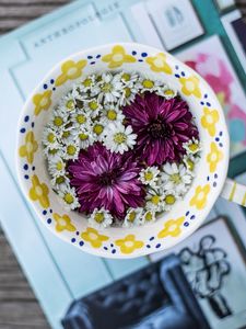 Preview wallpaper cup, flowers, daisies