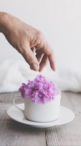 Preview wallpaper cup, flowers, hand, aesthetics