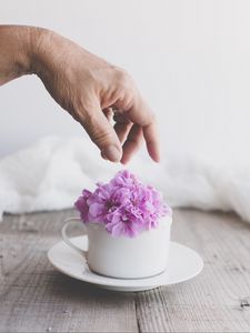 Preview wallpaper cup, flowers, hand, aesthetics
