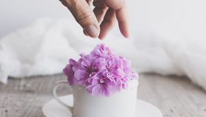 Preview wallpaper cup, flowers, hand, aesthetics