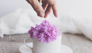 Preview wallpaper cup, flowers, hand, aesthetics