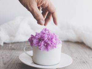 Preview wallpaper cup, flowers, hand, aesthetics