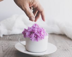Preview wallpaper cup, flowers, hand, aesthetics