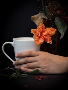 Preview wallpaper cup, hand, flowers, dark