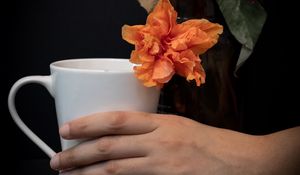 Preview wallpaper cup, hand, flowers, dark