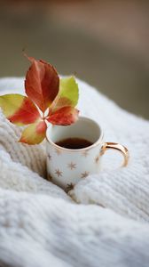 Preview wallpaper cup, leaf, tea, drink