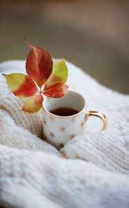 Preview wallpaper cup, leaf, tea, drink