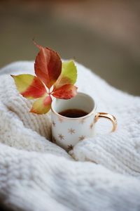 Preview wallpaper cup, leaf, tea, drink