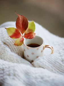Preview wallpaper cup, leaf, tea, drink