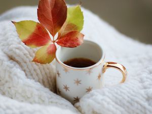 Preview wallpaper cup, leaf, tea, drink