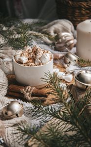 Preview wallpaper cup, marshmallow, cinnamon, branches, decoration