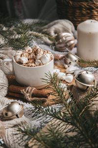 Preview wallpaper cup, marshmallow, cinnamon, branches, decoration