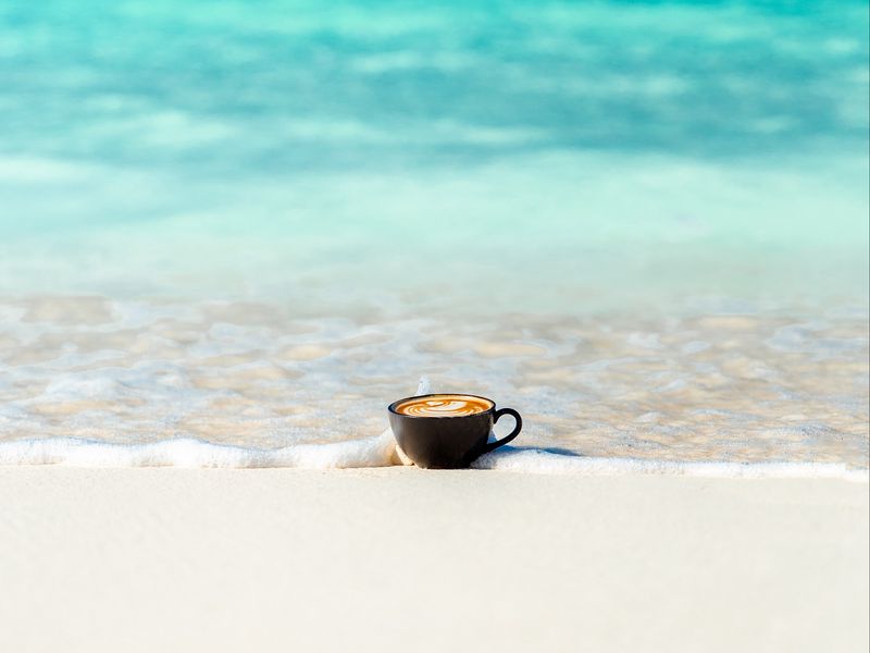 800x600 Wallpaper cup, ocean, sand, coast, minimalism